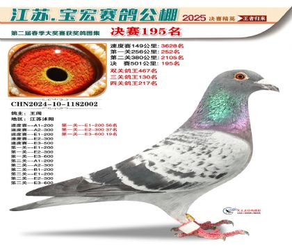 寶宏春棚決賽195名