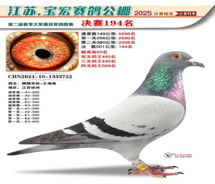 寶宏春棚決賽194名