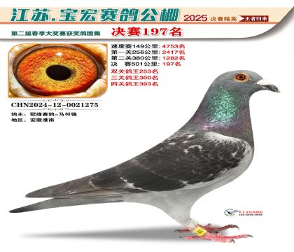 寶宏春棚決賽197名