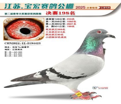 寶宏春棚決賽198名