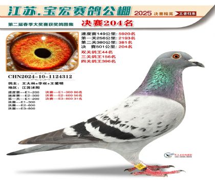 괺Qِ204