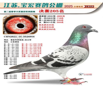 괺Qِ205