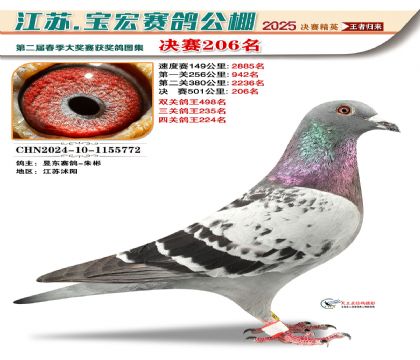 괺Qِ206