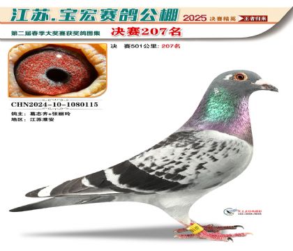 寶宏春棚決賽207名