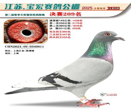 寶宏春棚決賽209名