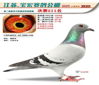 괺Qِ211