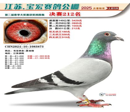 寶宏春棚決賽212名