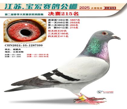 寶宏春棚決賽215名