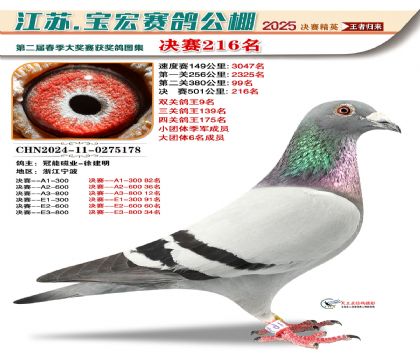 괺Qِ216