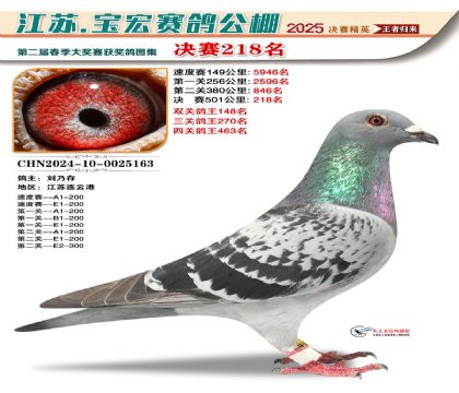 寶宏春棚決賽218名