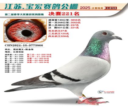 괺Qِ221
