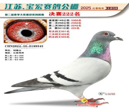 寶宏春棚決賽222名