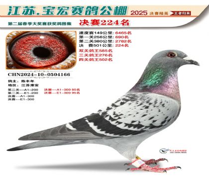 寶宏春棚決賽224名