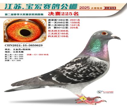 寶宏春棚決賽225名