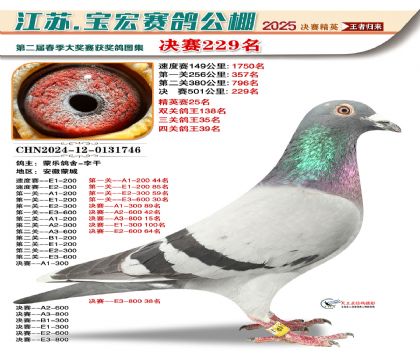 괺Qِ229