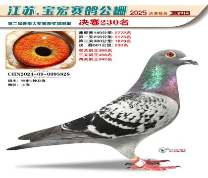 寶宏春棚決賽230名