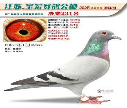 괺Qِ231