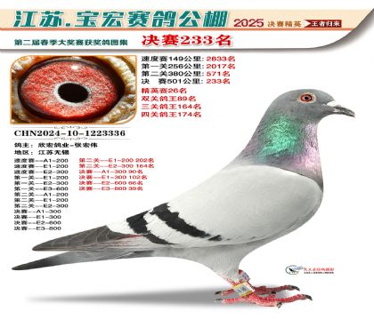寶宏春棚決賽233名
