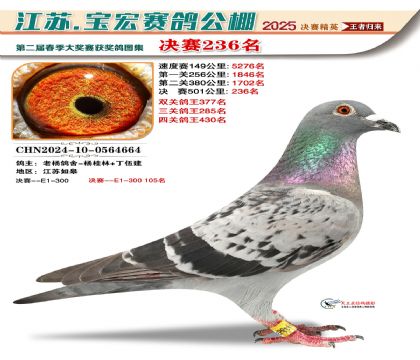 寶宏春棚決賽236名