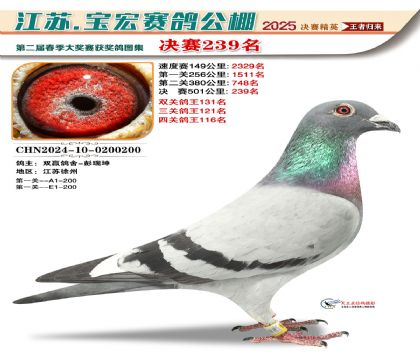 괺Qِ239