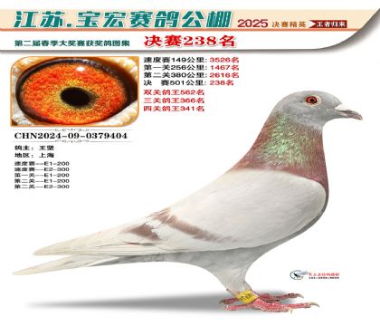 괺Qِ238