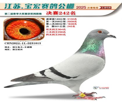 괺Qِ242