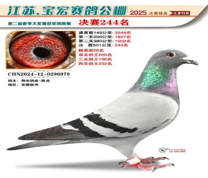 괺Qِ244
