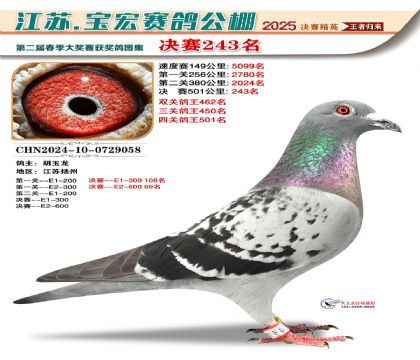 괺Qِ243