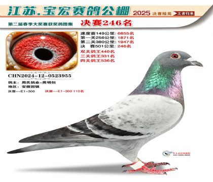 괺Qِ246