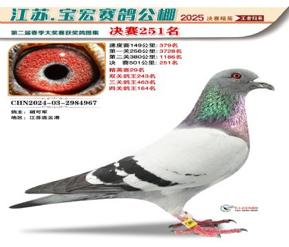 괺Qِ251