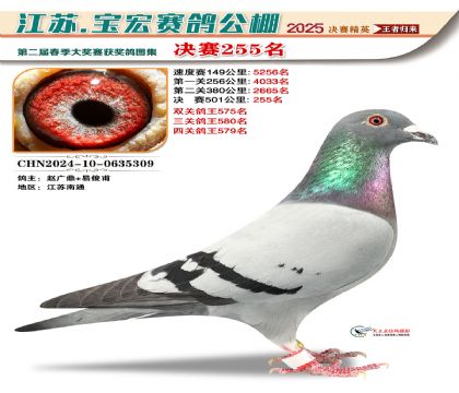 괺Qِ255