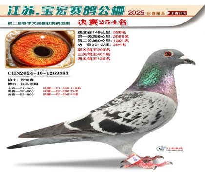 괺Qِ254