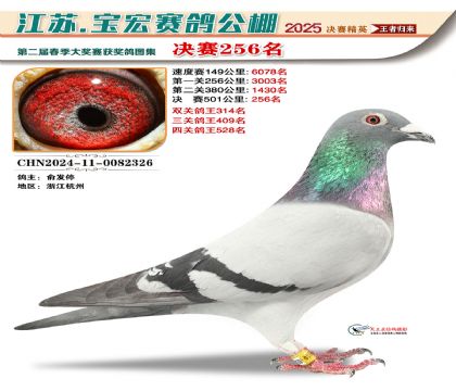 괺Qِ256