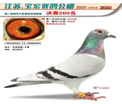 괺Qِ260
