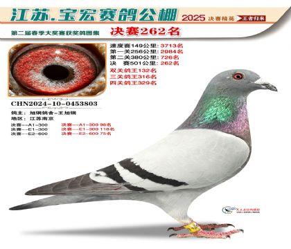 괺Qِ262