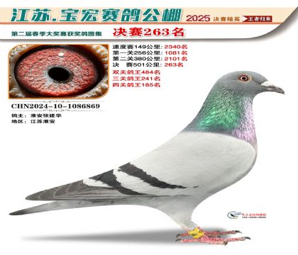 寶宏春棚決賽263名