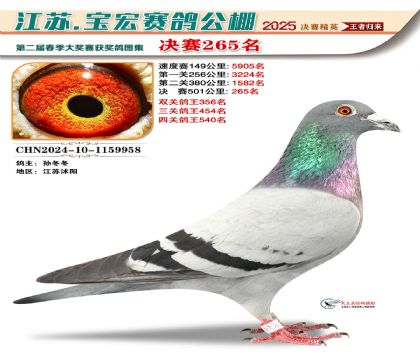 寶宏春棚決賽265名