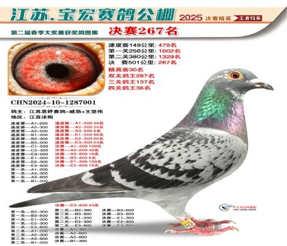 寶宏春棚決賽267名