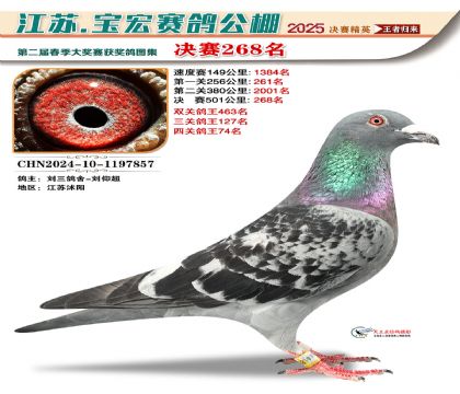 괺Qِ268