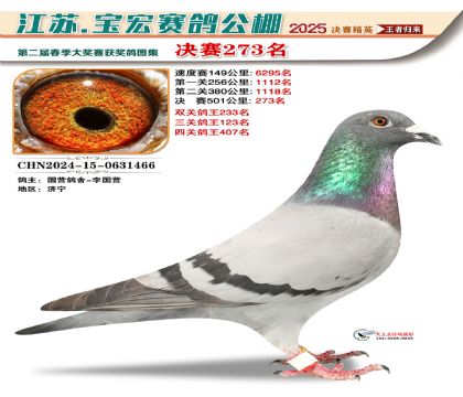 괺Qِ273