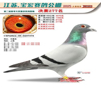 寶宏春棚決賽277名