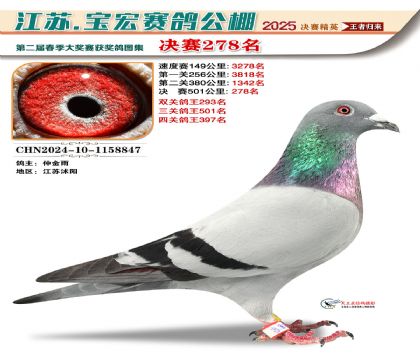 괺Qِ278