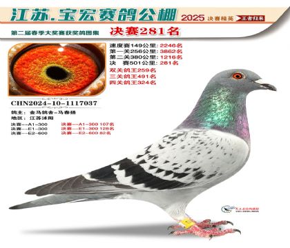 寶宏春棚決賽281名