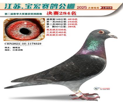 괺Qِ284