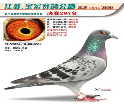 괺Qِ285
