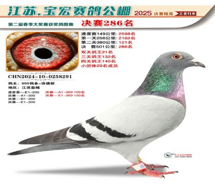 寶宏春棚決賽286名
