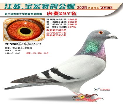 寶宏春棚決賽287名