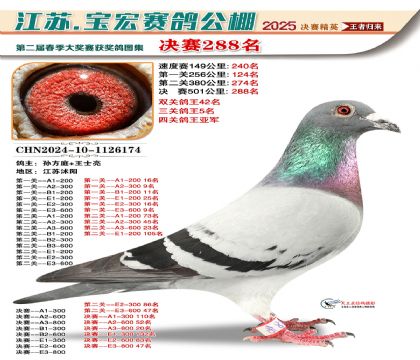 寶宏春棚決賽288名