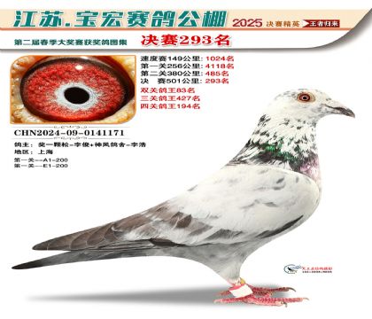 괺Qِ293