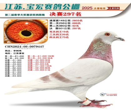 괺Qِ297